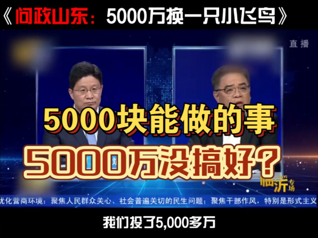 问政山东:5000万换来一只小飞鸟?哔哩哔哩bilibili