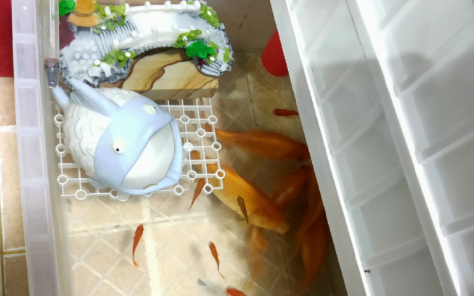 给鱼儿们建个小房子,小鱼儿喜欢待在上面,大鱼儿喜欢待在下面,但是都