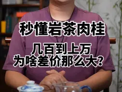 Download Video: 秒懂武夷岩茶肉桂，为啥会有几百到上万的差价？