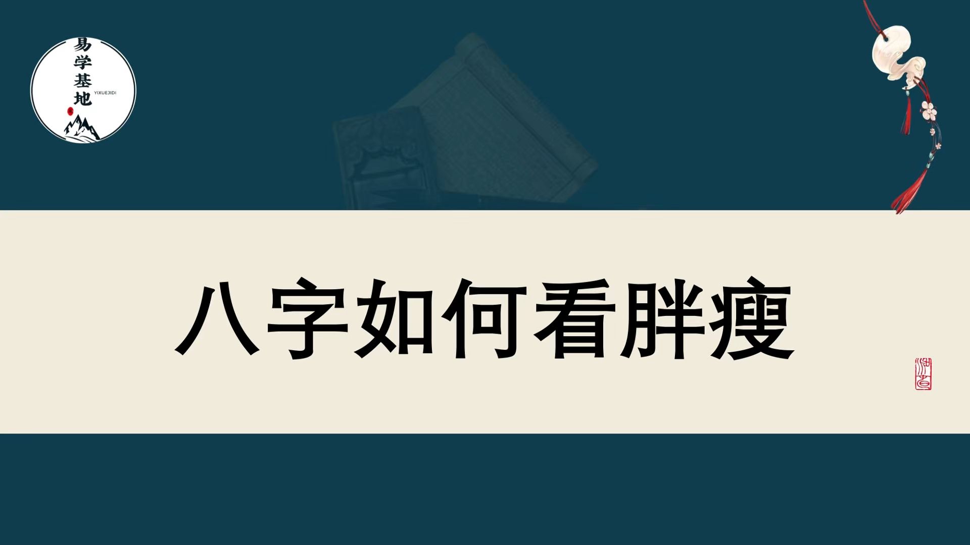 八字如何看胖瘦哔哩哔哩bilibili