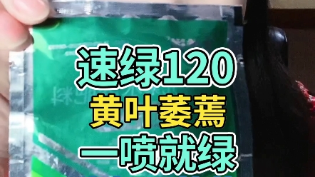 速绿120黄叶萎蔫一喷就绿生根又壮苗拍10发15哔哩哔哩bilibili