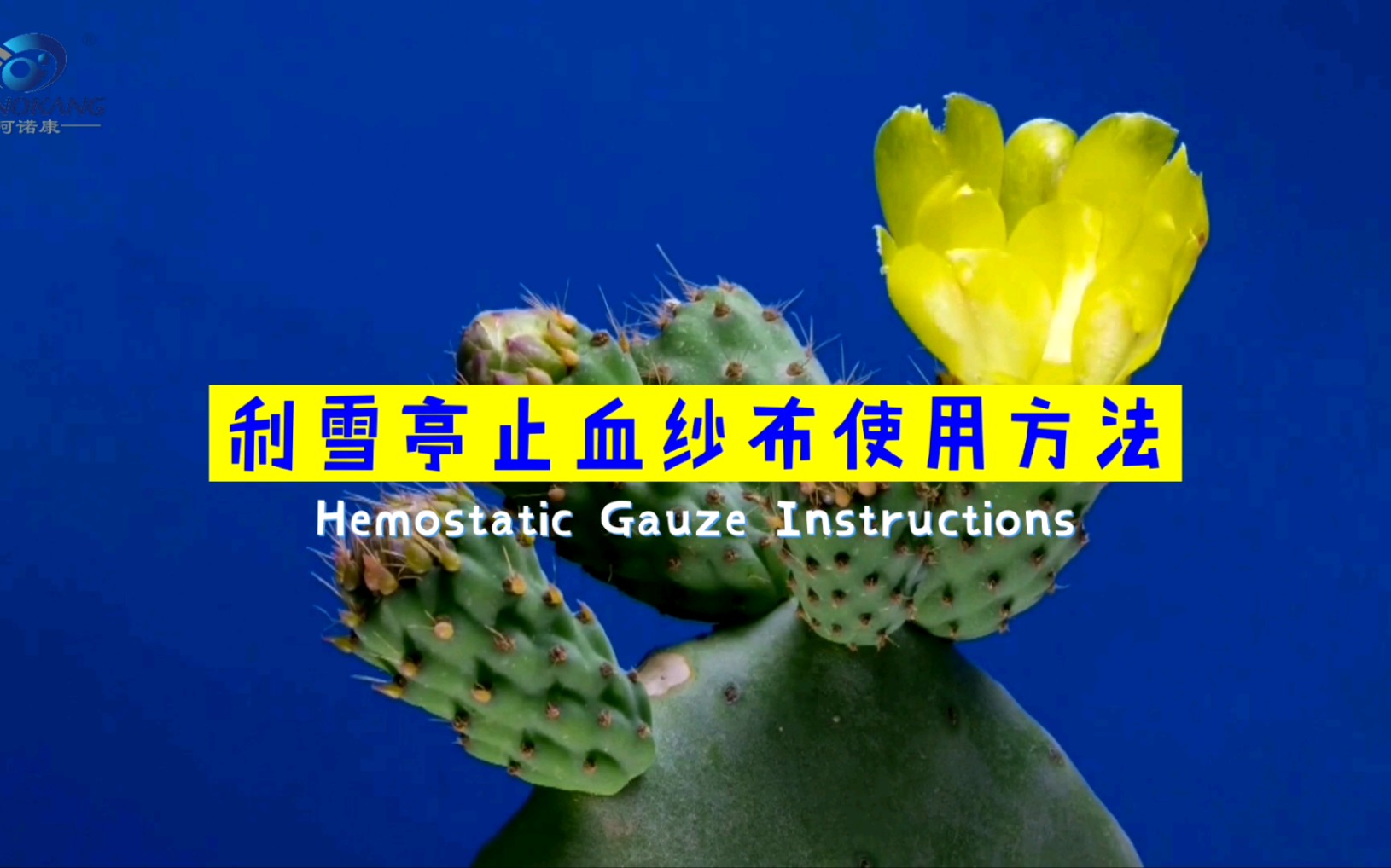 利雪亭止血纱布(Hemostatic Gauze)的使用方法哔哩哔哩bilibili