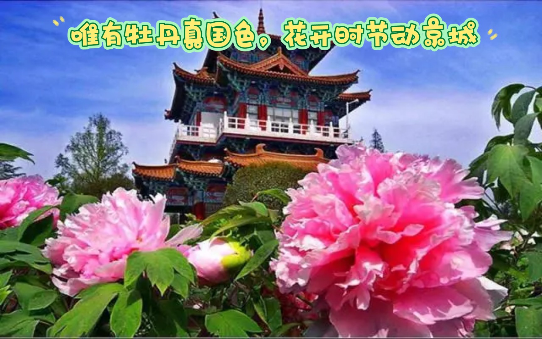 [图]千年古都，牡丹花城。神都洛阳欢迎您。唯有牡丹真国色，花开时节动京城。