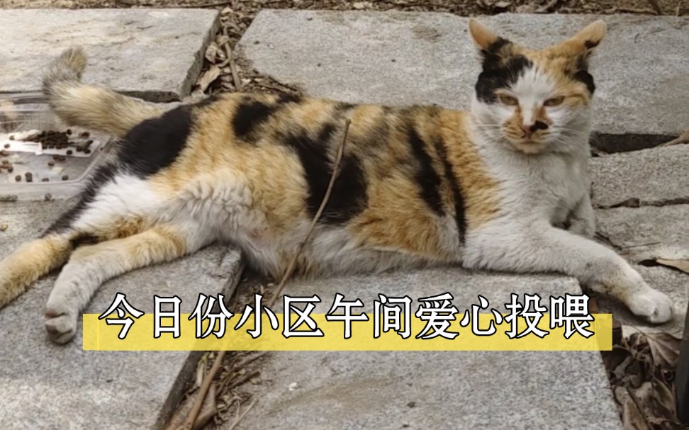 四个字:应有尽有(^111611^)