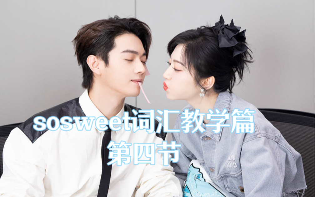 sosweet词汇教学篇04 许凯x景甜 |凯词甜语哔哩哔哩bilibili