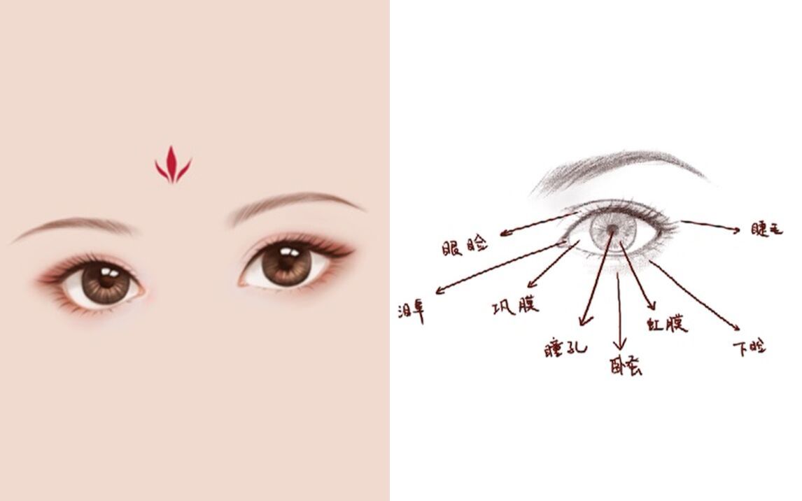高漫の基础古风教学丨女子眼睛绘制技法精细剖析