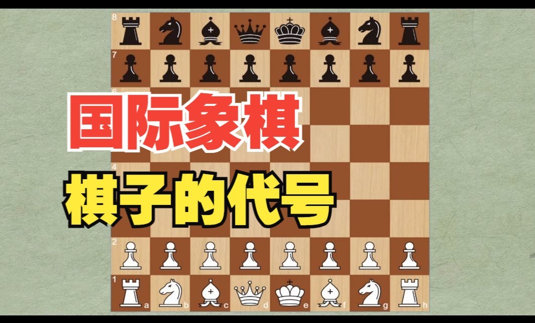 国际象棋小知识:棋子的代号你都知道吗?哔哩哔哩bilibili