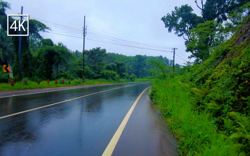 3030 - 雨天漫步在鄉村的公路 | 環境音, 風聲