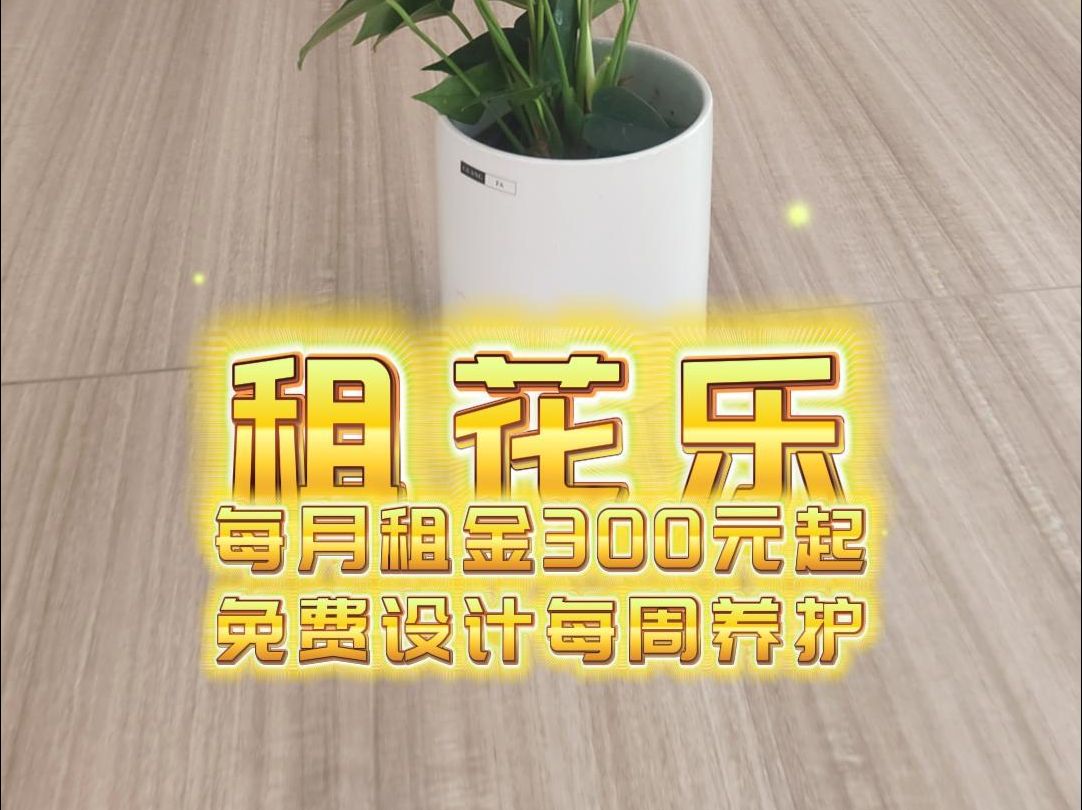 租花乐植物花卉养护设计哔哩哔哩bilibili