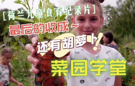 [图]荷兰儿童食育纪录片《菜园学堂》最后的收成！孩子们捧着亲手种植的玉米、栉瓜、茄子、洋葱，兴奋地啃了起来，装进自己的袋子里满载而归！菜园又将回归自然，恢复平静