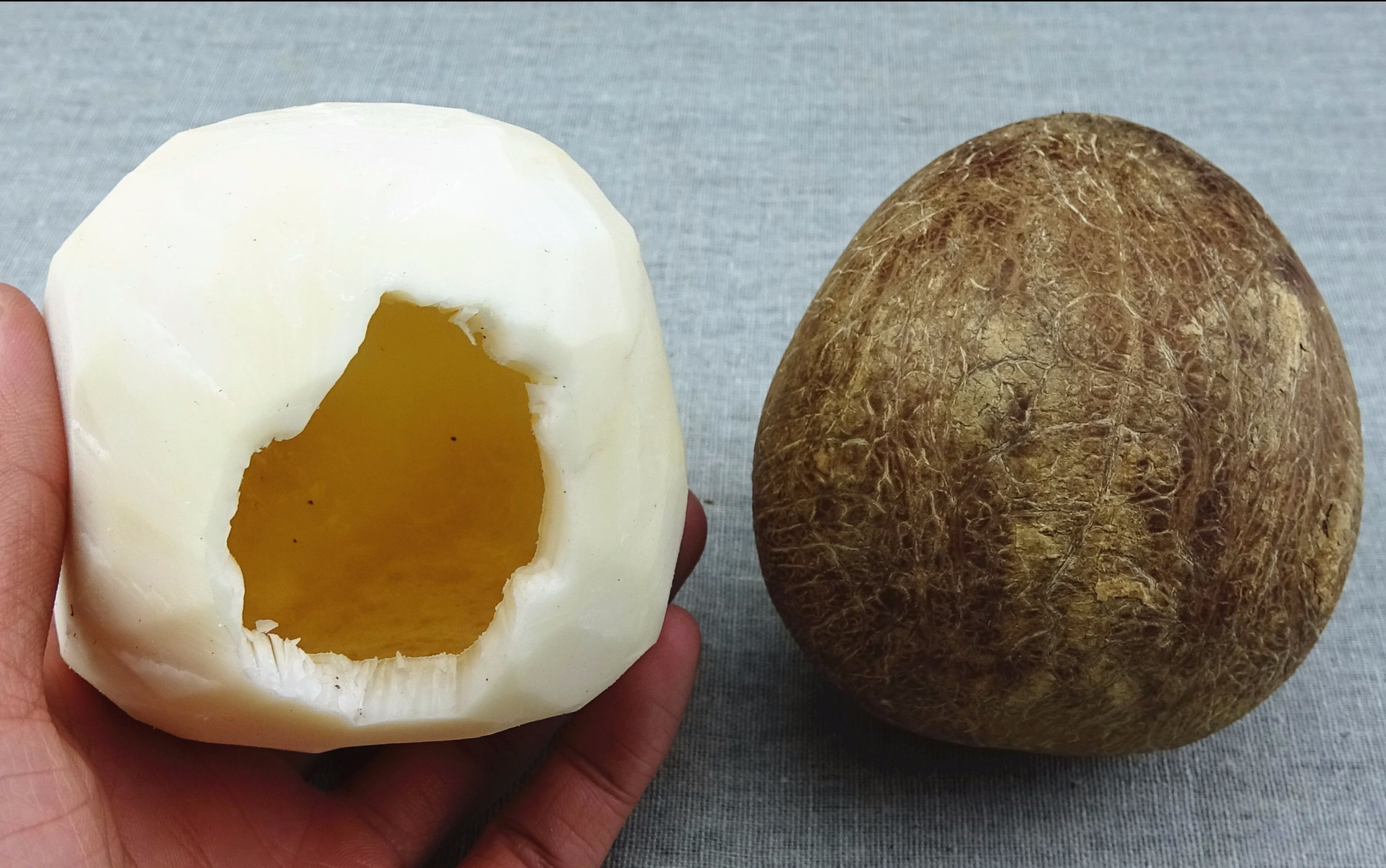 没有椰汁的"印度椰子",椰肉还这么好吃,1斤售价才19元_哔哩哔哩_bili