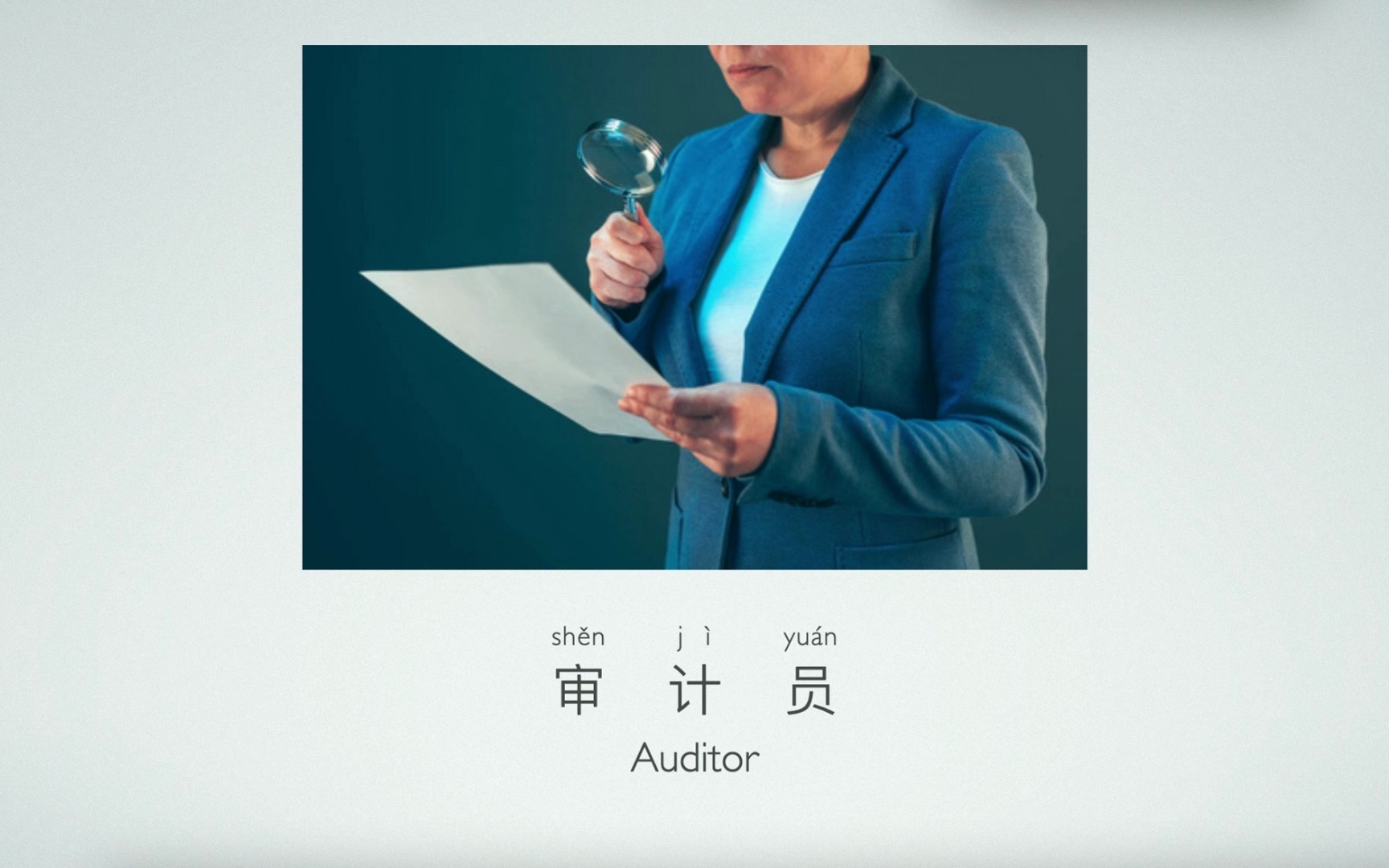 occupation: auditor, 職業:審計員