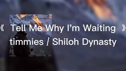 Timmies - Tell Me Why I'm Waiting ft. Shiloh Dynasty (Lyrics) 