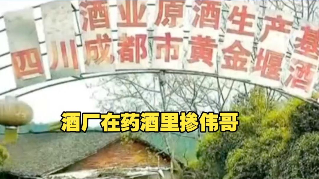 成都一酒厂在药酒里掺"伟哥" 被重罚252万元！