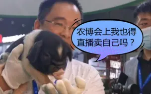 Télécharger la video: 湖南农博会上小花猪也在直播卖自己