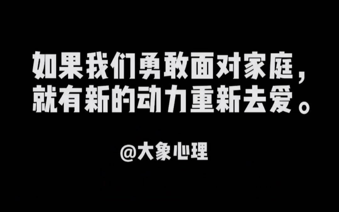 大象心理家庭治疗督导片段哔哩哔哩bilibili