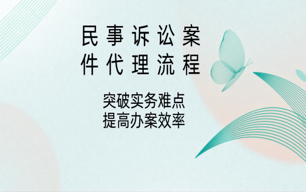 民事诉讼案件代理流程:突破实务难点,提高办案效率哔哩哔哩bilibili