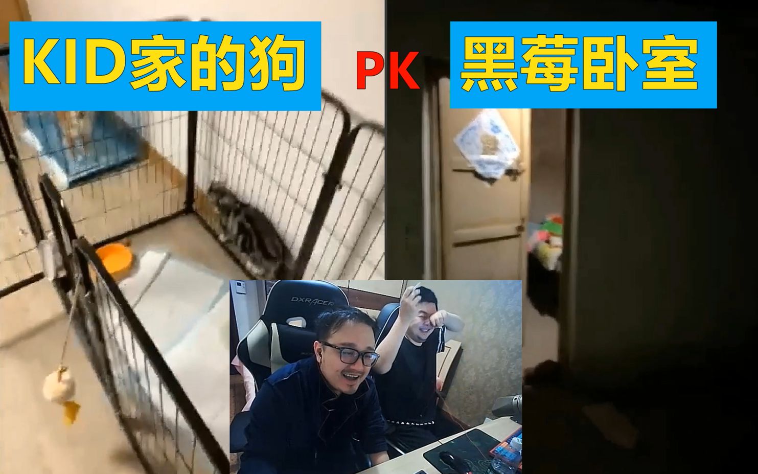 德云色成员家访黑莓还没kid家狗住的好泪目qaq