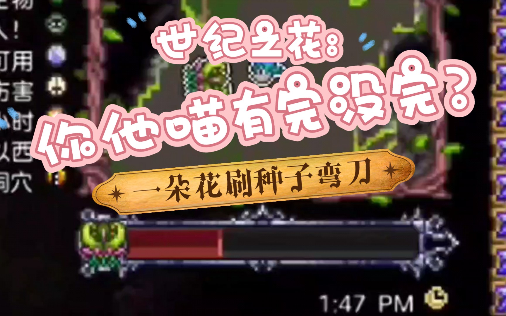 泰拉瑞亚一朵花刷种子弯刀世纪之花你礼貌吗