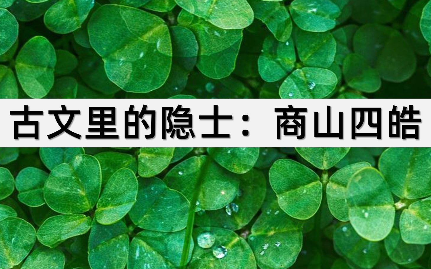 古文科普《古文里的隐士:商山四皓》|须眉晧白,衣冠甚伟|古文出处:《史记ⷧ•™侯世家》司马迁【西汉】哔哩哔哩bilibili