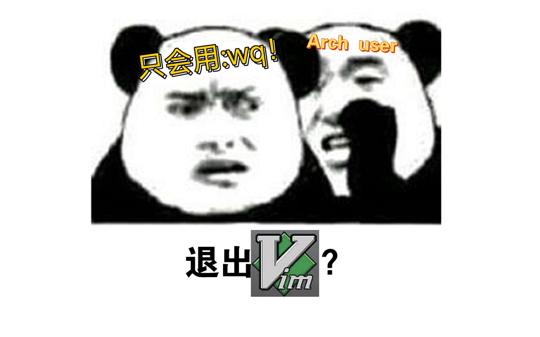 五个帅气退出VIM的方法 >:(哔哩哔哩bilibili