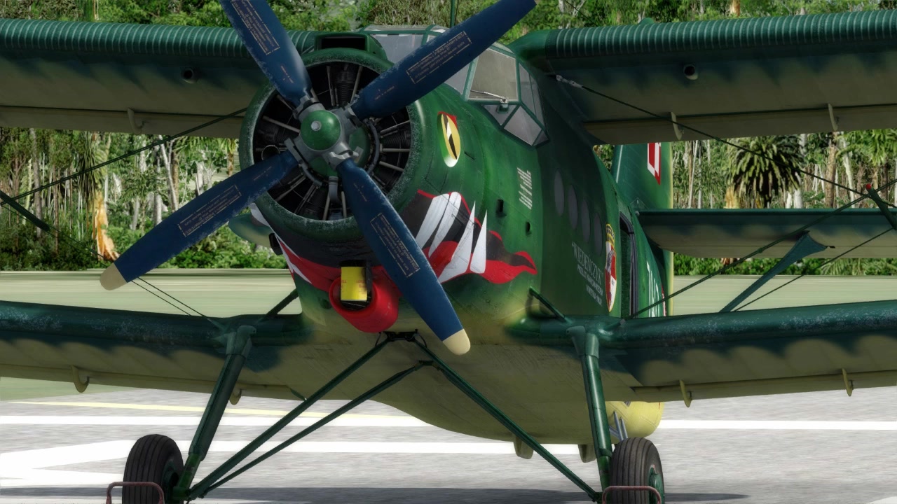 运五安2飞机模拟低空喷洒