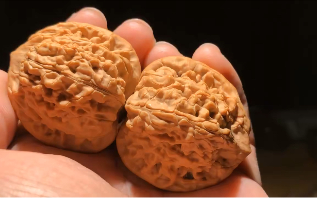 4240九山顶望月狮子头高度41全品三无一刀未动粗筋纹路分量特别打手