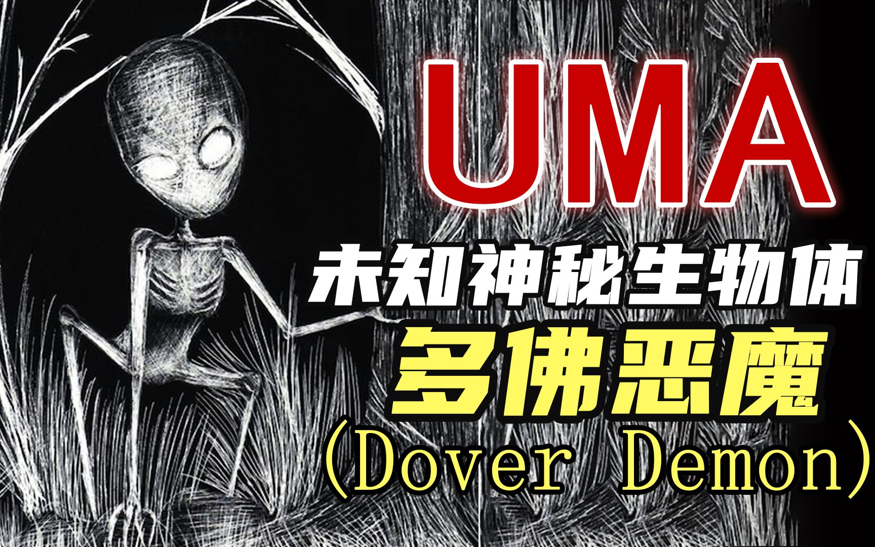 [图]【UMA系列】第三期：多佛恶魔真实目击事件解析。