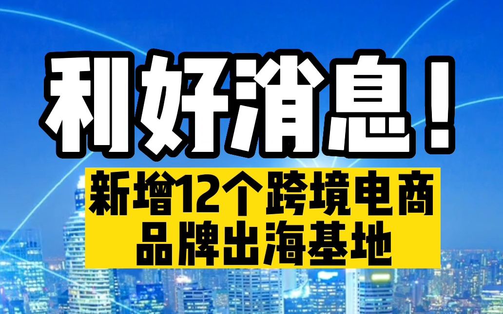 你知道新增的12个跨境电商品牌出海基地在哪吗?哔哩哔哩bilibili