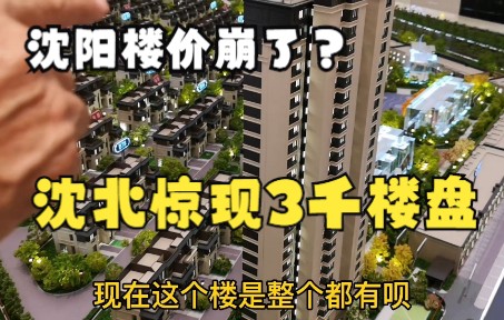 沈阳楼市崩了?沈北出现三千的住宅,看看啥情况,能买不哔哩哔哩bilibili