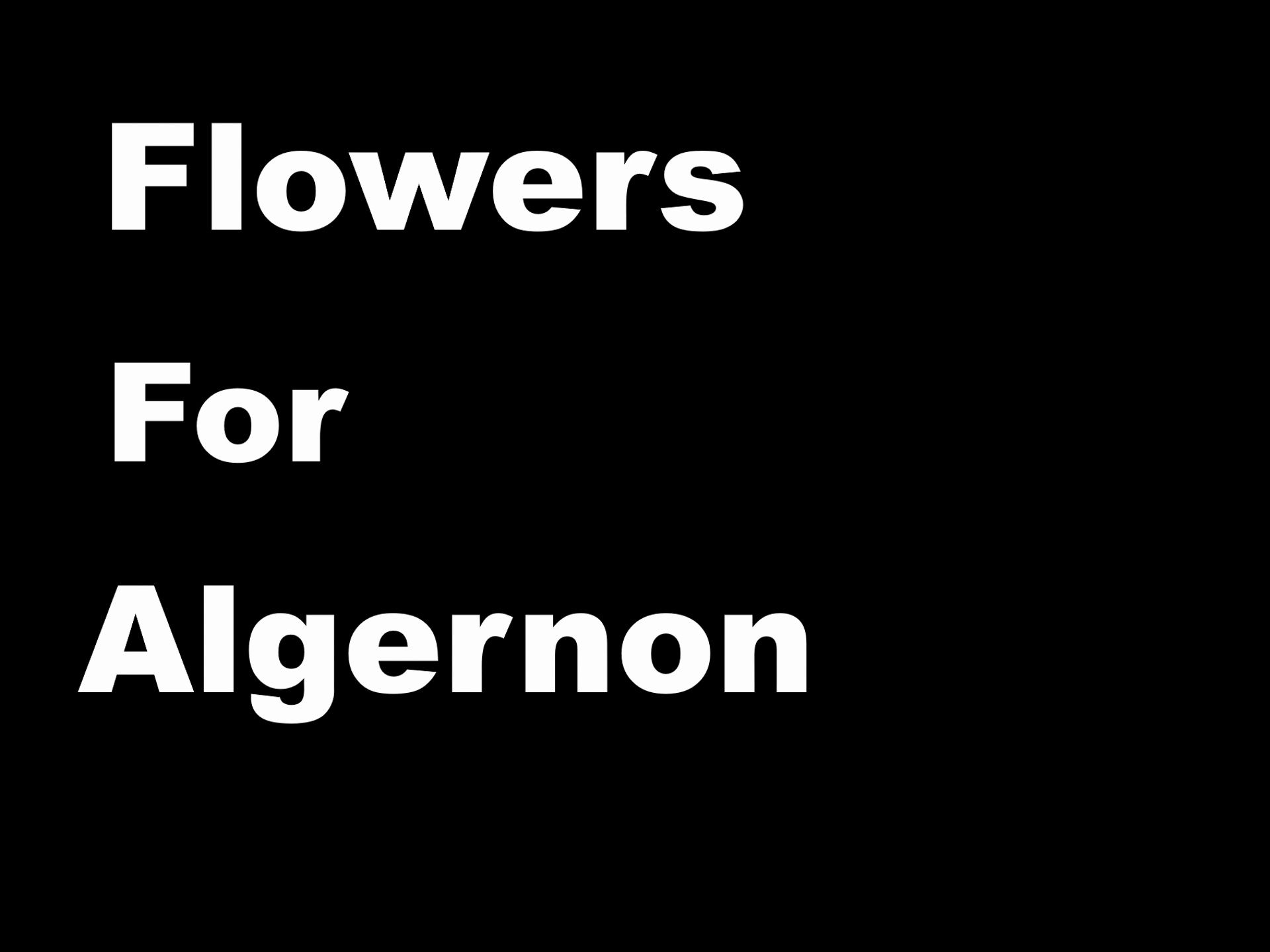 [图]大学英语作业|Sharing:Flowers for Algernon《献给阿尔吉侬的花束》