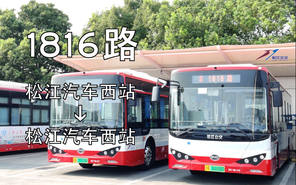 pov111上海首批比亚迪上海松江公交1816路全程pov