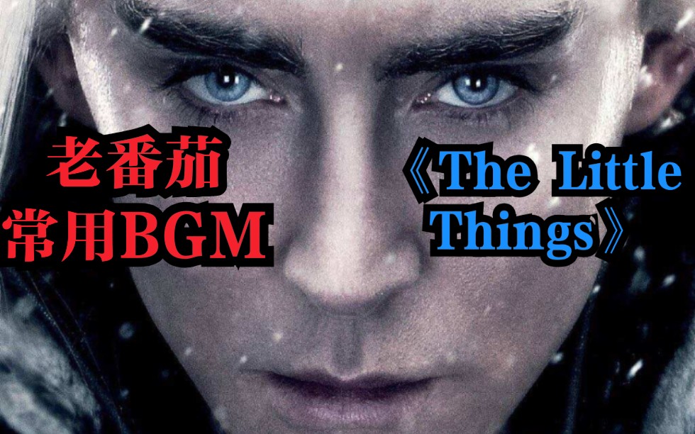 [图]【歌曲推荐】老蕃茄常用bgm《The little things》自制英文字幕MV