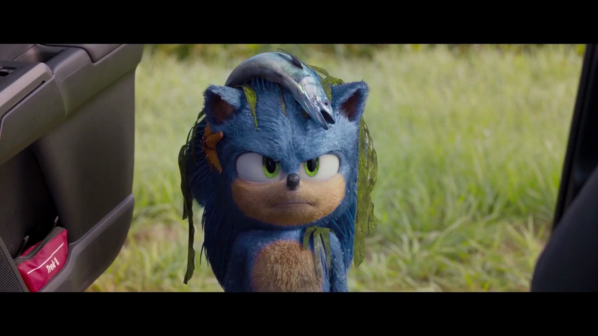 炸毛了!真人cg版电影《刺猬索尼克》正片预告