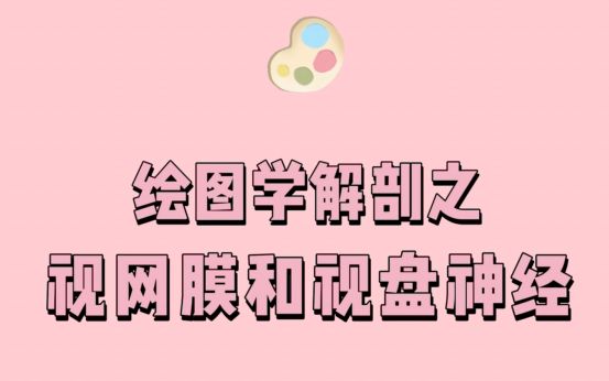 [图]【画着学系解】提到视网膜，你了解多少？来跟着图图画着学~！