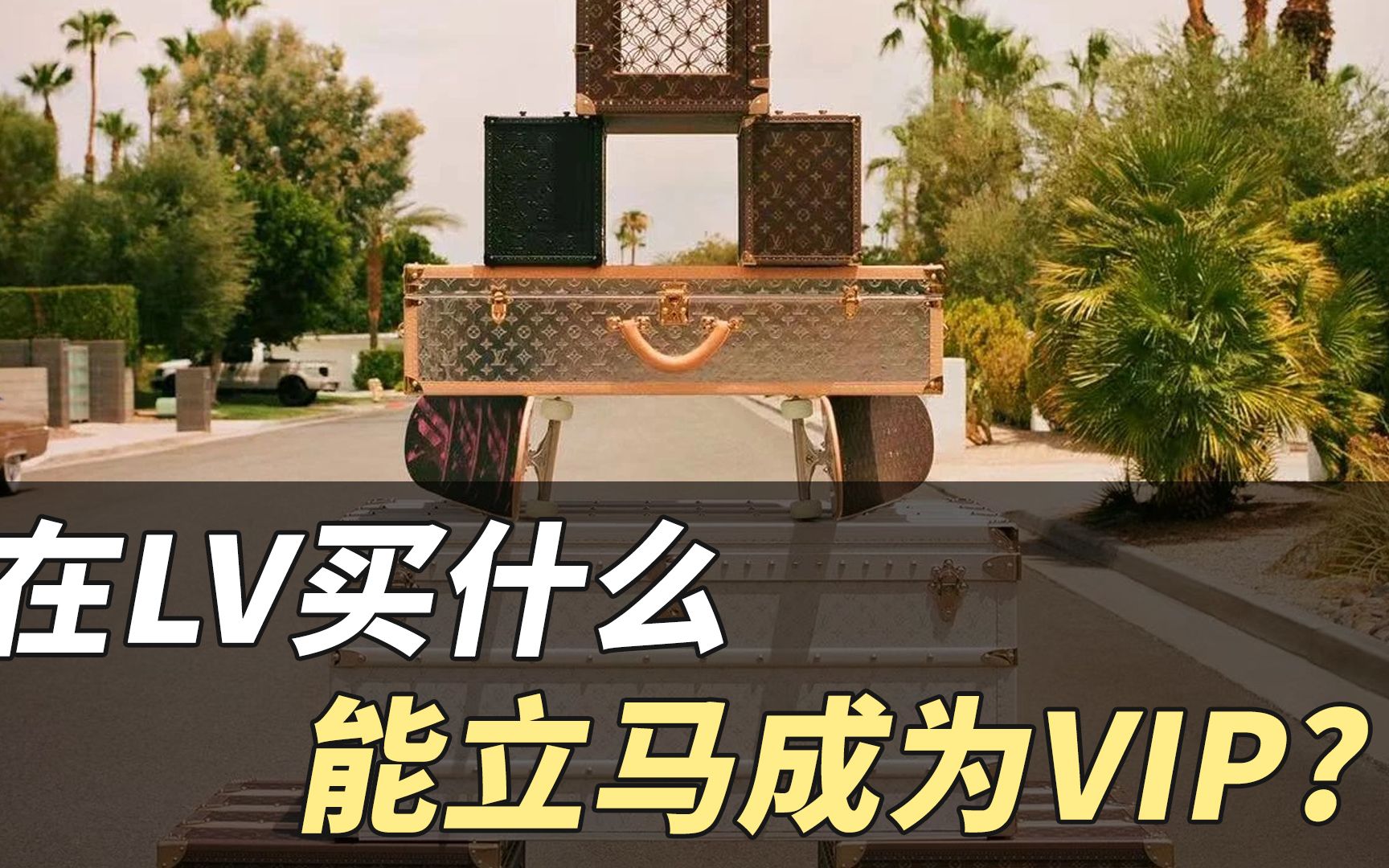 【大牌科普】在LV买什么能立马成为VIP?哔哩哔哩bilibili