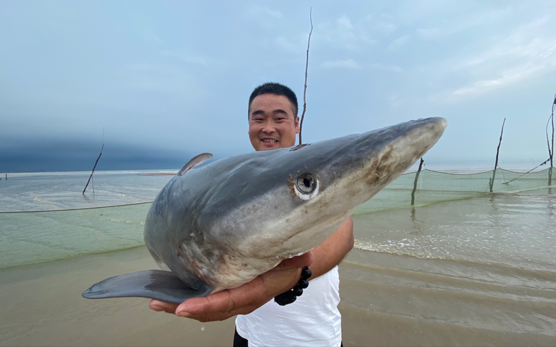 [图]大海退潮后，二强赶海时发现搁浅的鲨鱼，直接给送会大海