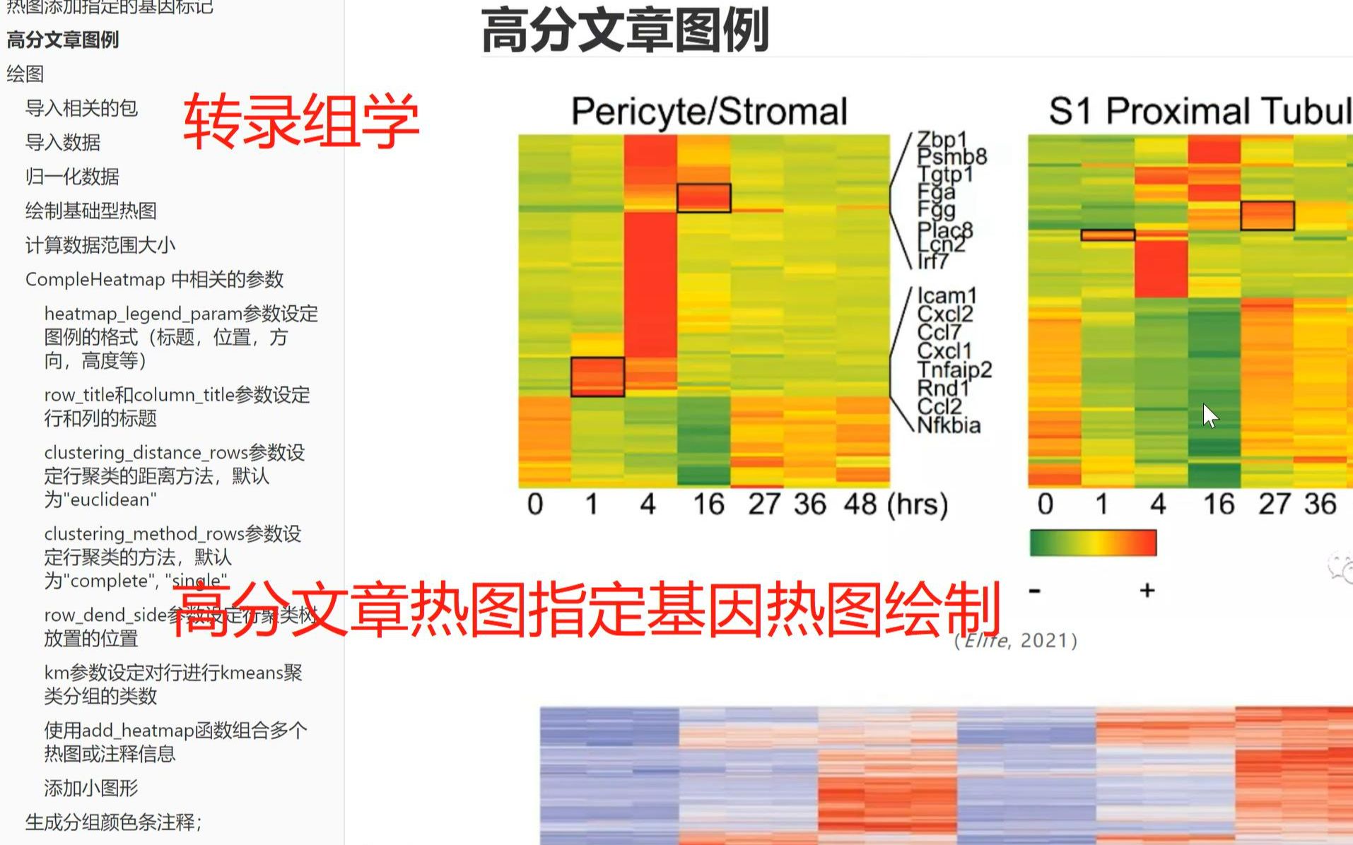 ComplexHeatmap热图绘制 | 指定基因在热图中标记哔哩哔哩bilibili