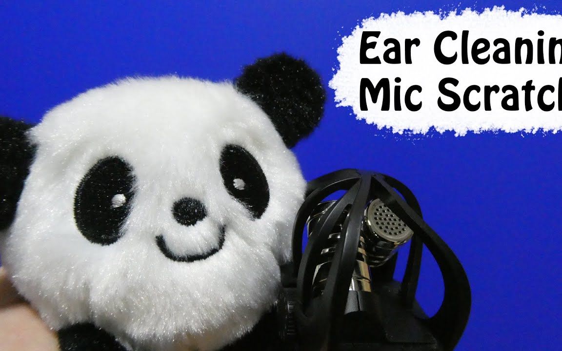 【Cuppa】熊猫毛绒玩具刷麦音 Mic Scratching with Soft Toy No Talking哔哩哔哩bilibili