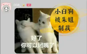 Download Video: 白白的猪：同居生活|-|朱姐半夜摔下床，小狗嘲笑被制裁