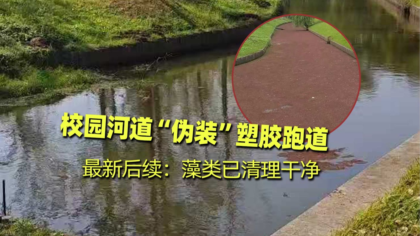 校园河道“伪装”塑胶跑道，扔块石头竟泛起水花，最新后续画面公开，藻类已清理干净 #满江红