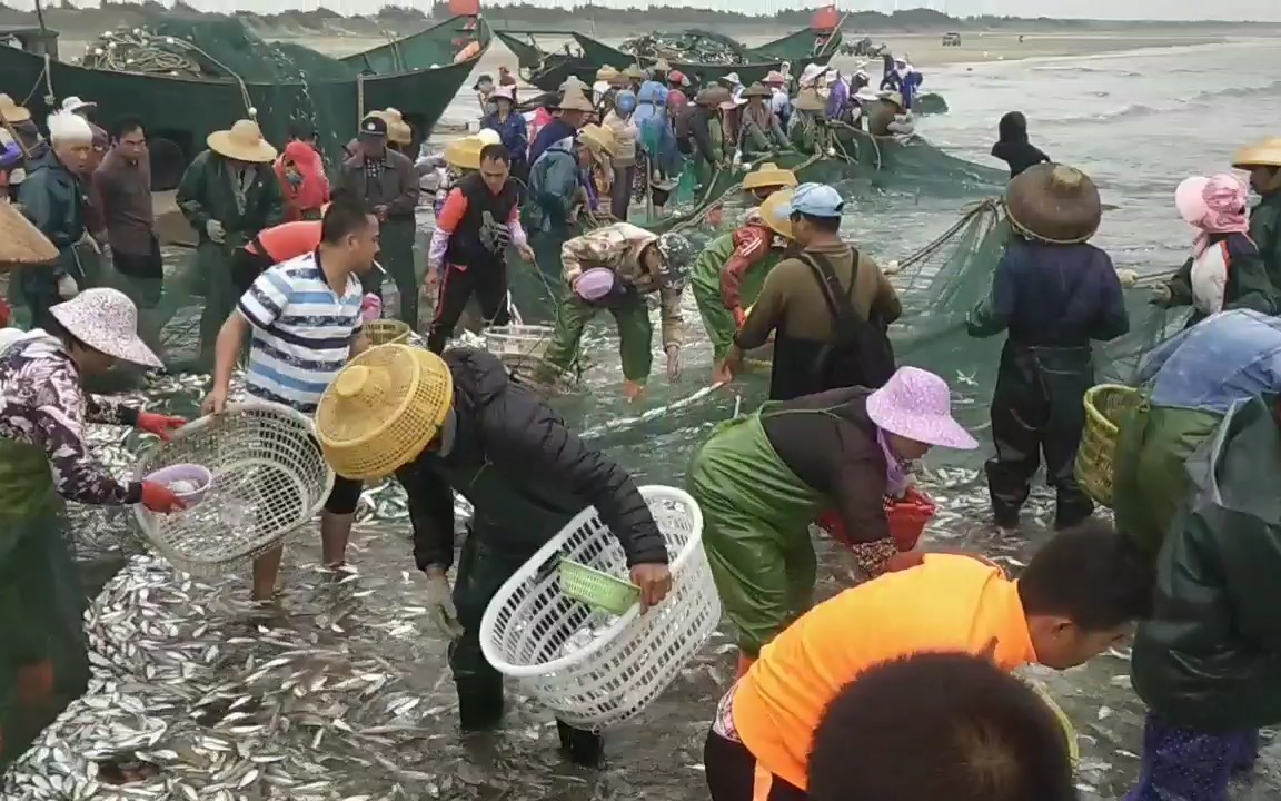 开月第一网渔民笑落牙齿了都有上万斤了,船主笑笑的说不赚钱 什么情况哔哩哔哩bilibili