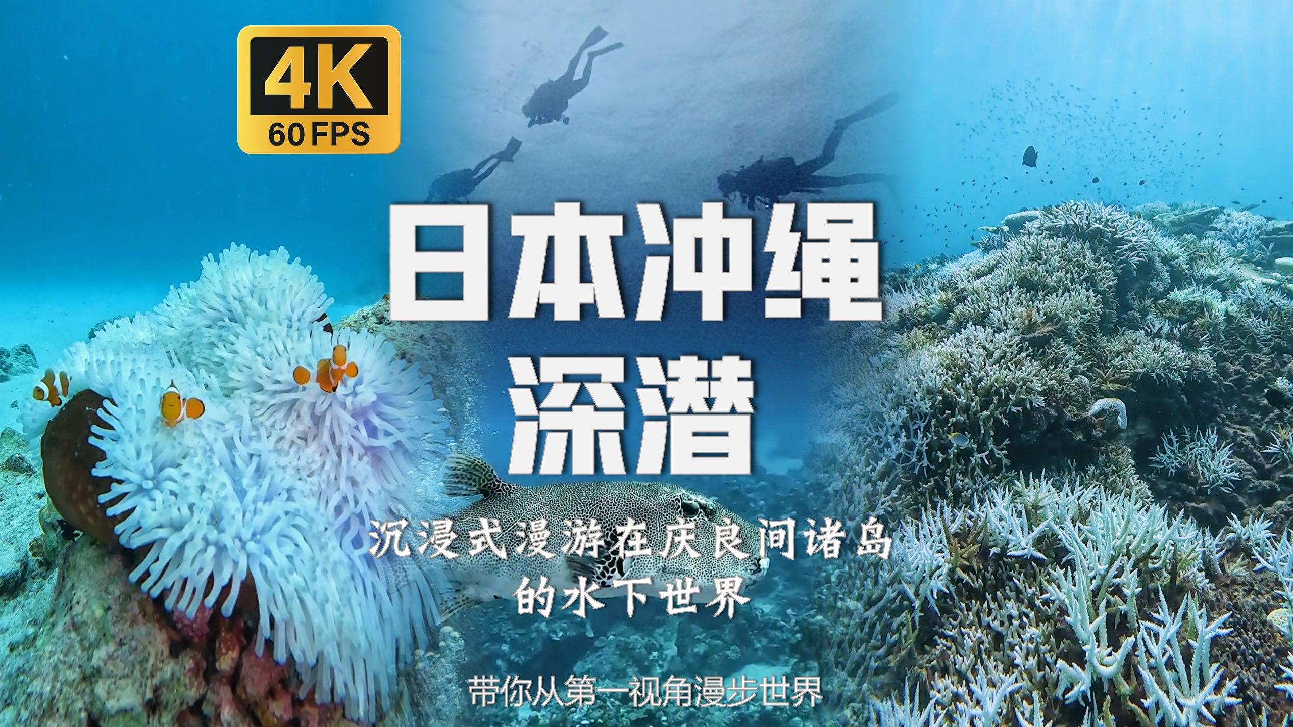 漫游在冲绳海底世界 看尼莫鱼 体验庆良间蓝 深潜海底第一视角漫游 |【4K60帧】【日本冲绳庆良间群岛】 海底ASMR环境音 舒缓治愈助眠背景音乐BGM哔...