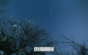 Tải video: 绝美！夜色下的永泰青梅，你一定没见过。朵朵冷艳，缕缕幽芳，夜里的青梅格外美。