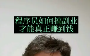 Download Video: 程序员如何搞副业才能真正赚钱！真实有用