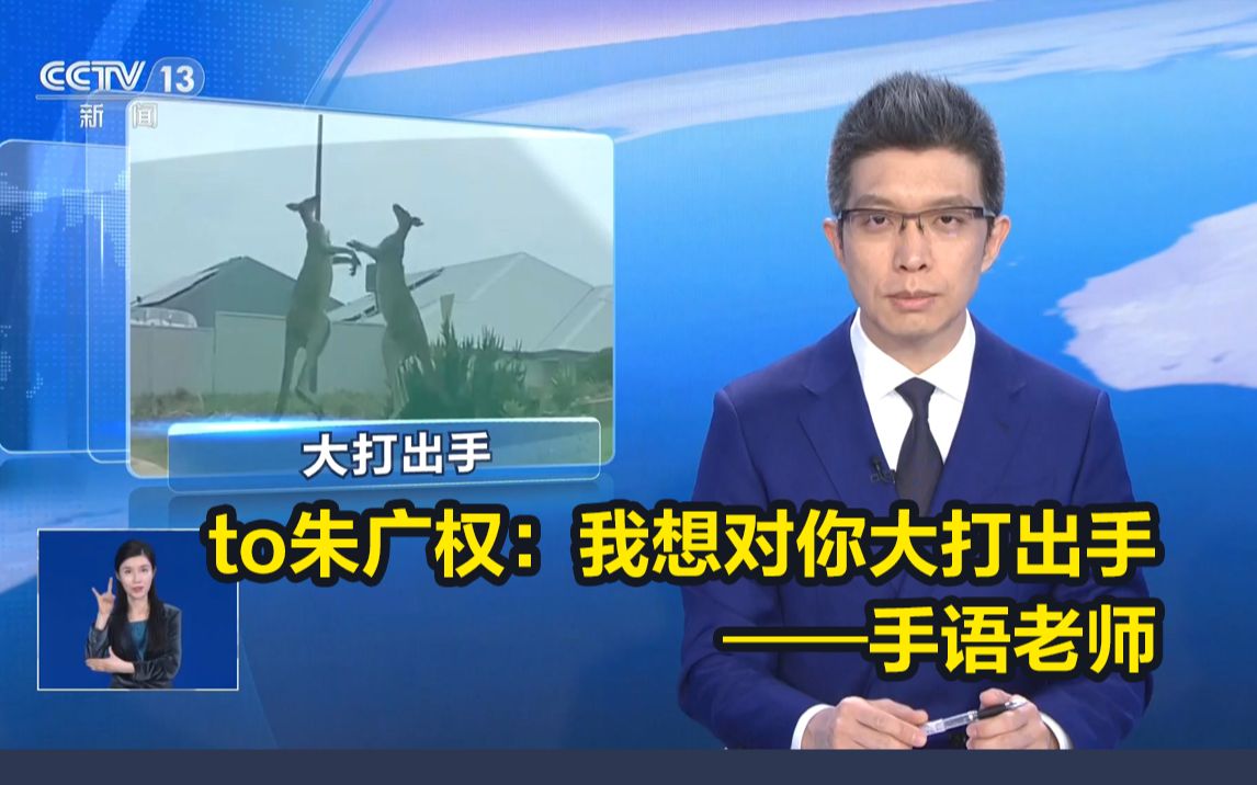 朱广权生动解说两只袋鼠大打出手!手语老师:我也想对你大打出手