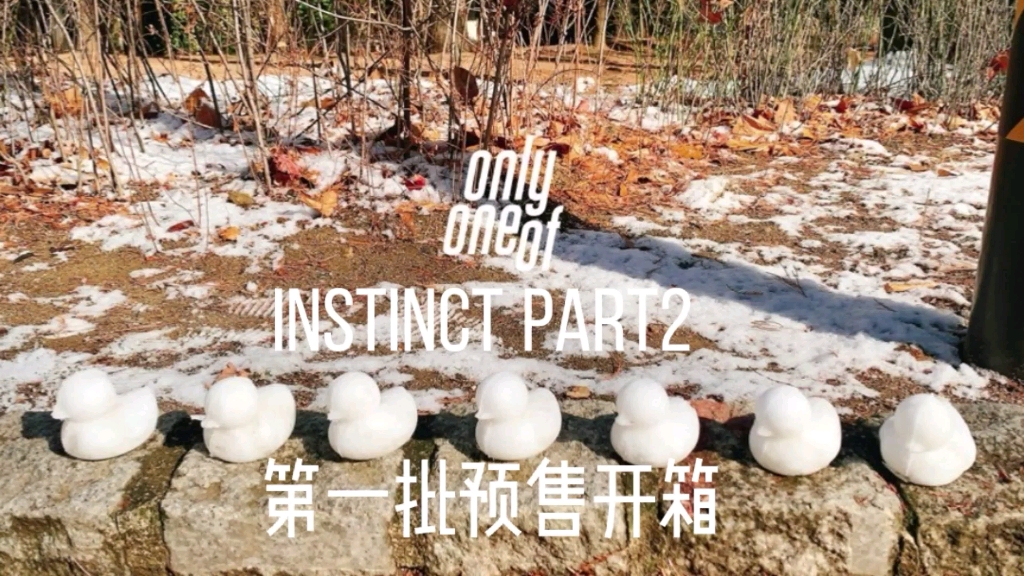 [OnlyOneOf]Instinct Part2 本能2预售开箱哔哩哔哩bilibili