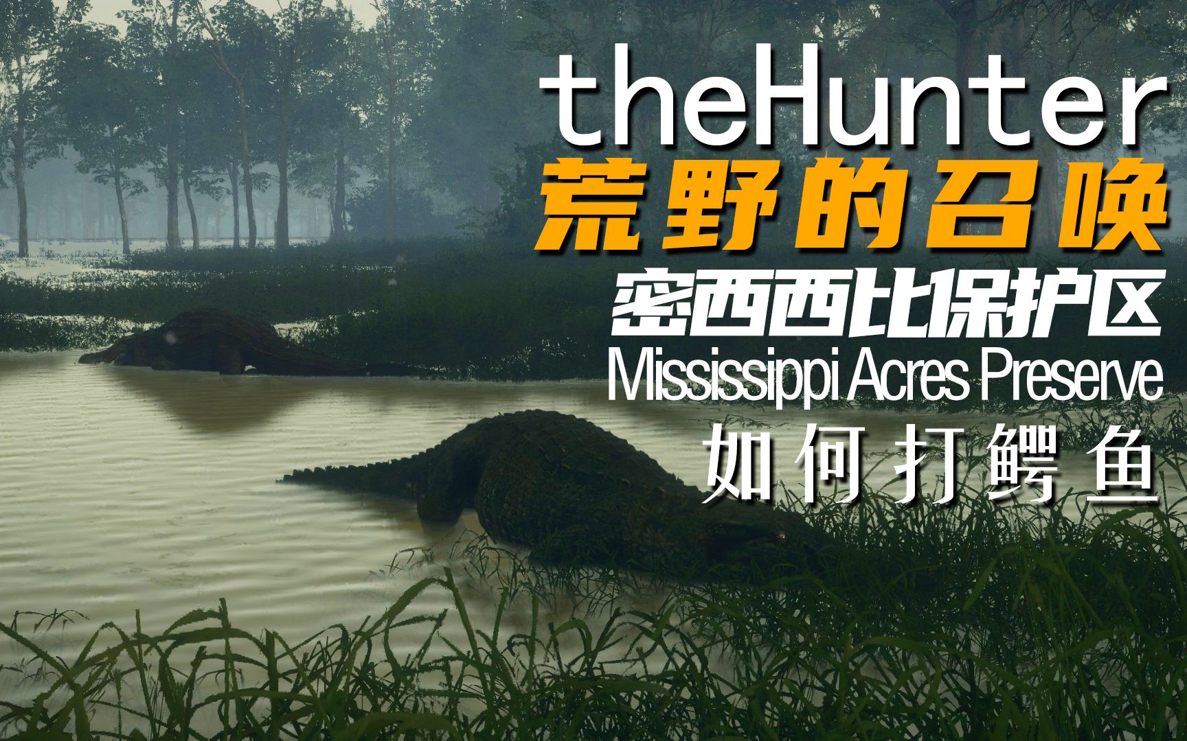 《theHunter: Call of the Wild荒野的召唤》如何打鳄鱼哔哩哔哩bilibili游戏解说