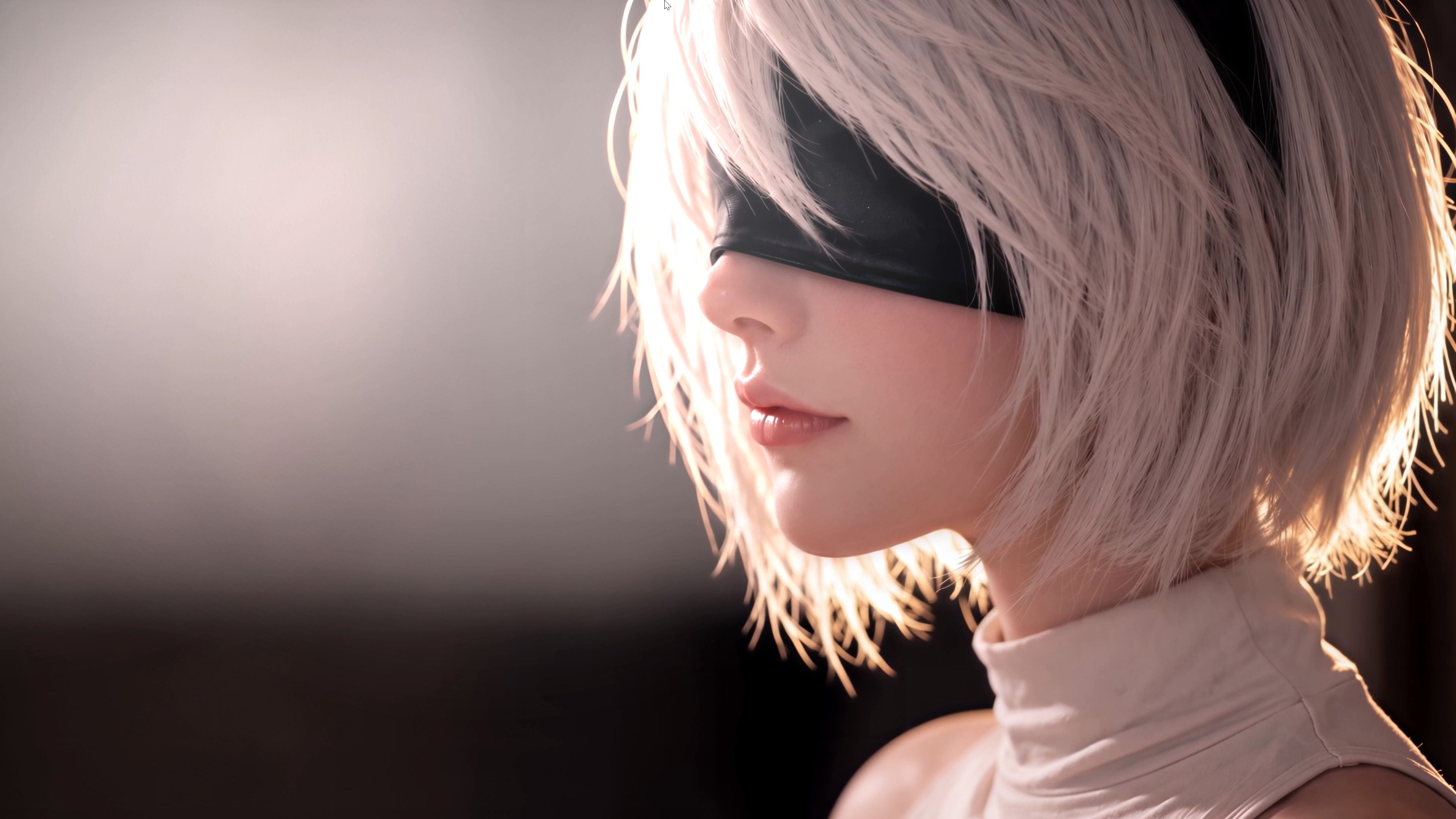 尼尔机械纪元 2B 电脑动态壁纸 wallpaper engine