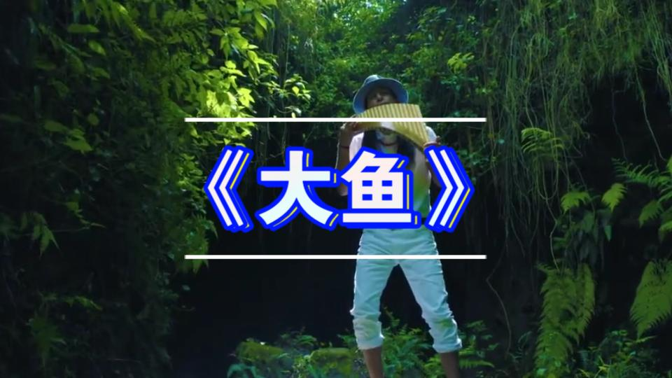 外国街头艺人的《大鱼》mv,倾听自然的声音吧 ( big fish and begonia